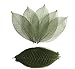 Thai Handmade 100 Pcs Olive Green Skeleton Leaves Rubber Tree Natural Scrapbook Craft CARD Wedding By RATREE SHOP