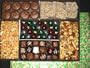 Treats Galore Holiday Candy Gift Box