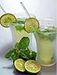 Fresh Peppermint for Mojito - Grow Indoors or Out