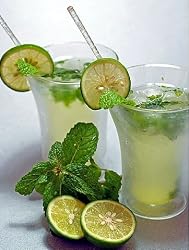 Fresh Peppermint for Mojito - Grow Indoors or Out