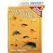 American Fly Tying Manual