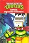 RAPHAEL (Teenage Mutant Ninja Turtles, No. 1)