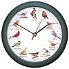 Mark Feldstein and Associates DLB9821E Original Singing Bird Clock 8 in Green