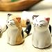 Animals Pattern Chopsticks Spoons and Forks Holder (6CATS)