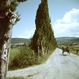 Farm Family in Mule Drawn Cart on Road Lined with Cypress Trees Photographic Poster Print by Gjon Mili, 24×24