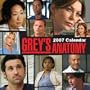 Grey's Anatomy: 2007 Wall Calendar