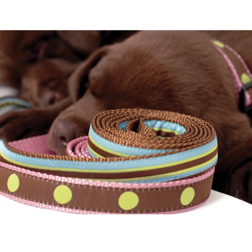 Blue Stripe Ribbon Dog Collar & Leash