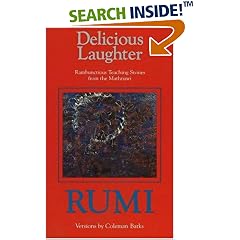 Delicious Laughter: Rambunctious Teaching Stories from the Mathnawi of Jelaluddin Rumi