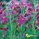 Wildflowers 2009 Square Wall Calendar