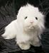   - Ganz Webkinz Adopt-a-pet Plush Persian Cat
