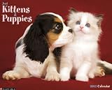 Kittens & Puppies 2013 Wall Calendar