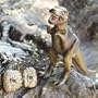 Discovery Exclusive Remote Control T-Rex