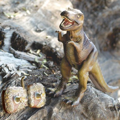 Discovery Exclusive Remote Control T-Rex