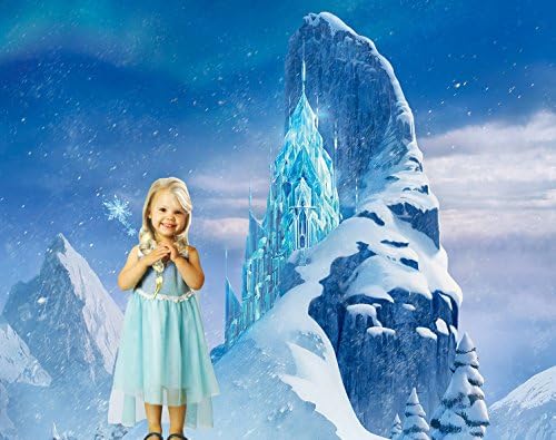 Elsa Frozen Snow Queen Sparkle Lace Dress Costume (7-8)