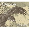 Feather and Stone [VINYL]
