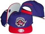 Toronto Raptors Mitchell & Ness Purple Throwback Vintage Snap Back Hat