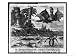 Flying Dragons' were Among the Weird Creatures Reported from the New World by Vespucci Giclee Poster Print by Theodor de Bry, 18x24