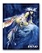 Froud Faeries-Little nell 8 x 10 in. Poster Card