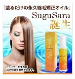 �����������������@�X�O�T���@�T�O�����@���h���Ċ����������̊ȒP�i�v�k�ы����I�C���I