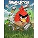(11x14) Angry Birds 3-D Lenticular Video Game Poster Print