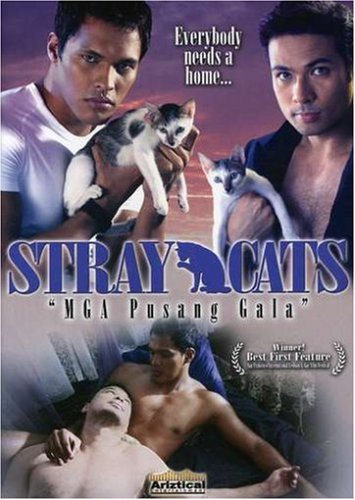 Stray Cats (Sub)