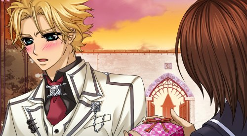 Cover image : ヴァンパイア騎士DS(限定版) 特典 シチュエーションボイスCD付き