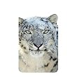 Memory Card Reader (TransFlash, SDHC, SD, Compact Flash, miniSD, RS-MMC, MMCmobile, MMC, MMC Plus, Memory Stick Micro(M2) & Pro & Duo, microSD) Rectangular of Apple Snow Leopard Logo