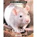 Le Rat