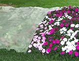 Frost Protek Plant Cover, 5 Feet By 10 Feet, Breathable, Lightweight Polypropylene Fabric