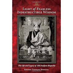 Light of Fearless Indestructible Wisdom: The Life and Legacy of His Holiness Dudjom Rinpoche