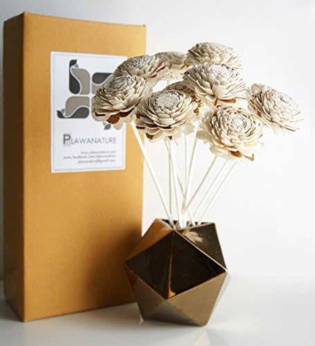 10 Jasmine Wood Sola Flower with Reed Diffuser for Home Fragrance Aroma Oil by Plawanature