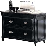 2 Drawer Lateral File Cabinet by Aspen Home