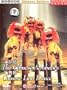 The Chinese Acrobatics / Chinese Lion Dance