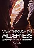 A way through the wilderness : experiencing God's help in times of crisis