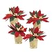 Department 56 Potted Poinsettias, Set of 4