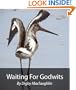 Waiting for Godwits