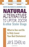 Natural Alternatives to Lipitor, Zocor & Other Statin Drugs: What to Use And Do to Help Lower Your Bad Cholesterol (Square One Health Guides)