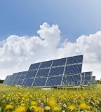 Renewable Energy:  How to Harness the Power  and Help the Future