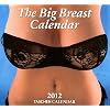 Big Breasts Tear-off Calendar 2012: All international holidays included (Taschen Wall Calendars)