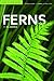 Ferns of Alabama (Gosse Nature Guides)