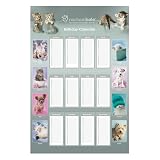 Domestic Animals - Poster Rachel Hale Birthday Calender