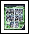 2006 Seattle Seahawks Team Composite NFL Framed 8x10 Photograph - CLOSEOUT SPECIAL