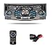 Dual XDM-A7715 200-Watt CD/MP3/WMA Receiver with Motorized Detachable Face