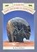 A Guide to Zuni Fetishes and Carvings (Native American)
