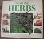 Growing Herbs: A Creative Step-by-Step Guide