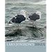 Lars Jonsson's Birds: Paintings from a Near Horizon