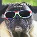 Search : Palmer's Broken Eyes (The story of a blind pugs journey)