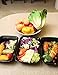 Green Bento Meal Prep Containers with Lids Plastic Food Storage Bento Lunch Box, Portion Control,Dishwasher,Microwave Safe Cover 10 Pack 10 Cutlery(28ounce)