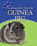 Looking after your pet guinea pig