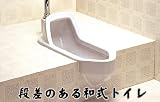 簡易洋式トイレ　【リホームトイレ】　両用式